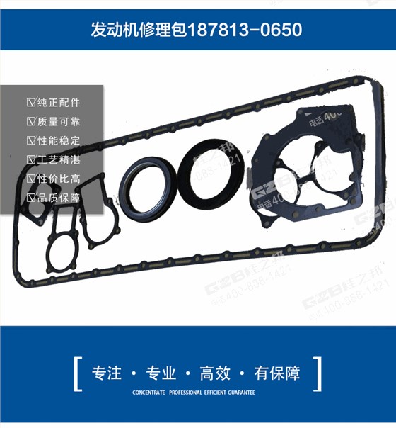 挖掘機發動機修理包187813-0650