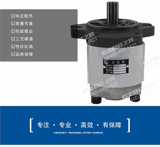 柳工挖機先導泵