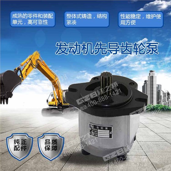 柳工挖掘機(jī)先導(dǎo)齒輪泵