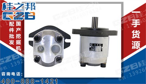 柳工挖掘機(jī)配件批發(fā) 發(fā)動(dòng)機(jī)先導(dǎo)齒輪泵  11C0122