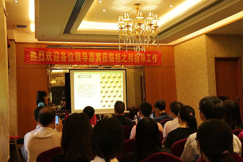 南寧桂之邦工程機械有限公司